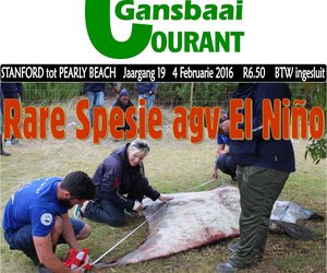 Rare Spesie agv El Niño